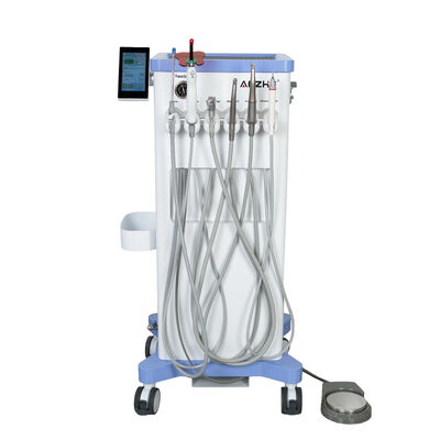 Un buon prezzo. Unità dentale veterinaria portatile con compressore d'aria senza olio da 550W 10L serbatoio in acciaio inossidabile Stazione di lavoro dentale a basso rumore in linea