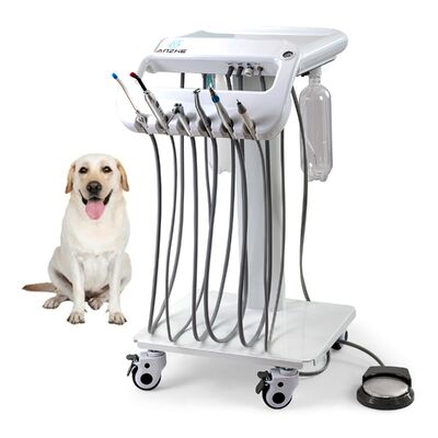 Un buon prezzo. Carrello dentale veterinario portatile di base con 5 tubi. in linea
