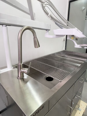 Un buon prezzo. Unità di trattamento dentale veterinario con lampada a farfalla di sbiancamento a LED 32L Compressore d'aria senza olio Acciaio inossidabile Stazione di lavoro dentale veterinaria in linea
