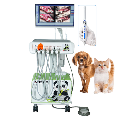 HD Camera orale Stazione di lavoro dentale veterinaria PC tutto in uno Win10 Mobile Vet Dental System Plug & Play Soluzione dentale veterinaria completa
