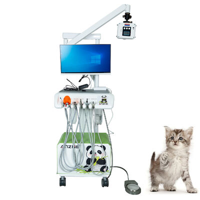 Un buon prezzo. Fabbrica originale Sensore Intraorale Digitale Veterinario Plug-and-play Fully equipaggiato High-Resolution X-Ray per le cliniche per animali domestici in linea