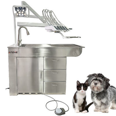Unità di trattamento dentale veterinario Lampada di farfalla di sbiancamento a LED 32L Compressore d'aria senza olio Stazione di lavoro in acciaio inossidabile