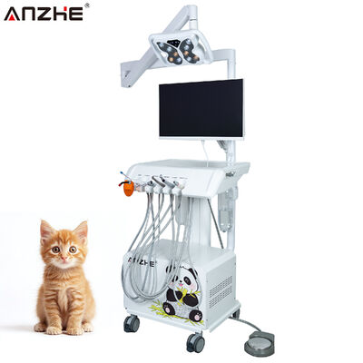 Un buon prezzo. Unità di trattamento dentale veterinario Sistema all-in-one con fotocamera intraorale HD Lampada a farfalla a LED e sistema di controllo delle finestre per ospedali per animali in linea