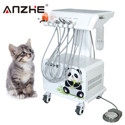 Un buon prezzo. All in One Portable Veterinary Dental Unit con compressore d'aria Scaler ad ultrasuoni LED Curing Light Suction System Mobile Pet Dental Equipment per ospedali animali in linea
