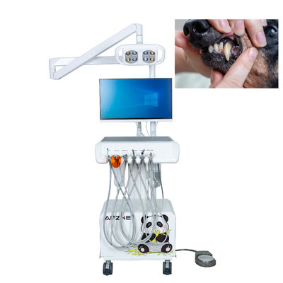 Stazione di lavoro dentale veterinaria con camera intraorale HD luce di esame LED e sistema informatico integrato per ospedali per animali