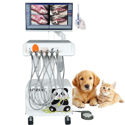 Unità Dentale Veterinaria Portatile con Fotocamera Orale HD e Sistema Dentale Integrato All-in-One per Cliniche Veterinarie
