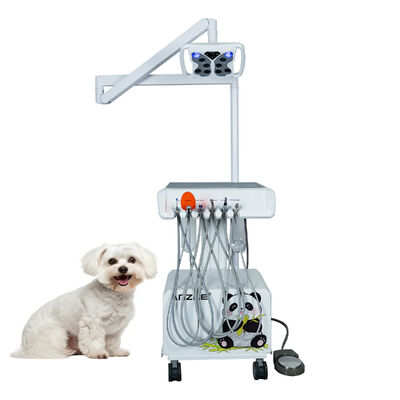 Un buon prezzo. Unità Dentale Veterinaria Portatile con Lampada LED a Farfalla Compressore d'Aria Integrato Scaler Ultrasonico Luce Polimerizzante LED Sistema di Aspirazione per Cliniche Dentali Veterinarie in linea