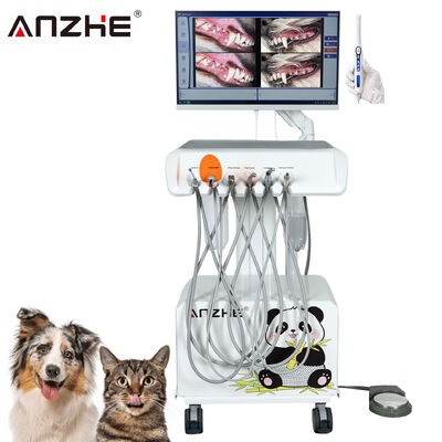 Un buon prezzo. Factory Direct Portable Veterinary Dental Unit con HD Oral Camera e 23.8 Inch Touchscreen All In One Computer Costruito in Compressore d'aria Scaler Curing Light per le cliniche odontoiatriche animali in linea
