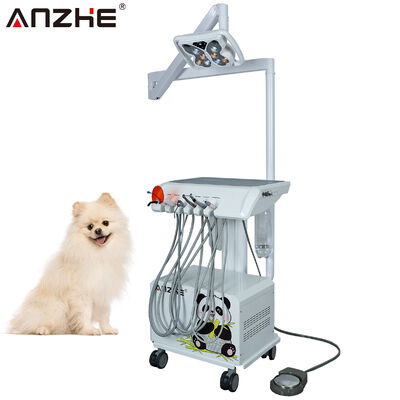 Un buon prezzo. Unità dentale veterinaria portatile con lampada dentale LED farfalla incorporata compressore d'aria aspiratore scalare luce di cura per le cliniche dentali animali in linea