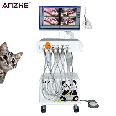 Un buon prezzo. Unità Dentale Veterinaria Portatile con Telecamera Orale HD e Computer All-in-One Integrato Compressore d'Aria Stazione di Lavoro Dentale Veterinaria per Cliniche Dentali Veterinarie in linea