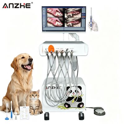 Un buon prezzo. Stazione di lavoro dentistica veterinaria portatile all-in-one con telecamera orale HD Silenziosa 38dB Compressore senza olio e sistema di aspirazione integrato per ospedale per animali domestici e clinica per animali in linea