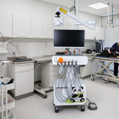 Un buon prezzo. 550W Stazione di Lavoro Veterinaria Dentale con Pressione 0.8Mpa e Rumore 58DB per Cliniche Veterinarie in linea