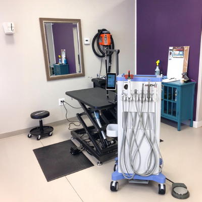 Un buon prezzo. Unità dentale veterinaria portatile da 550 W con pressione di 0,8 MPa e rumore di 38 dB in linea