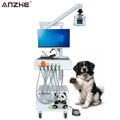 Un buon prezzo. Stazione di lavoro dentistica veterinaria integrata con sensore digitale a raggi X, telecamera orale HD e computer all in one in linea