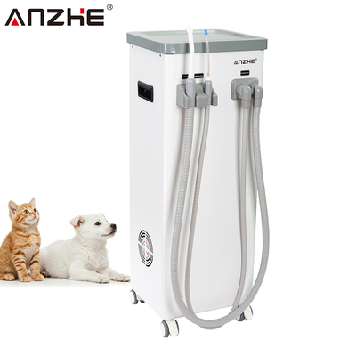 Un buon prezzo. Unità di aspirazione dentale portatile con flusso di 800L/min e drenaggio automatico per un funzionamento silenzioso a 56dB nelle cliniche in linea