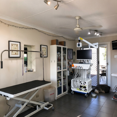 550W Veterinary Dental Workstation with 0.8Mpa Pressure and 58DB Noise for Animal Dental Clinics