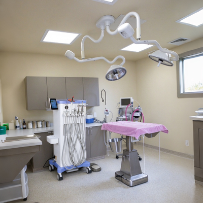 Un buon prezzo. Carrello Veterinario Dentale Portatile da 550W con Pressione di 0.8Mpa e Rumore di 38DB per Postazione Dentale Veterinaria in linea