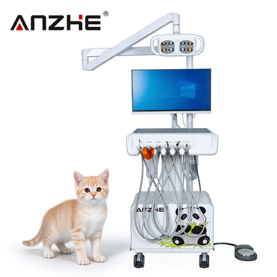 Un buon prezzo. Carrello di trattamento dentale veterinario con fotocamera orale lampada dentale a LED compressore d'aria in linea