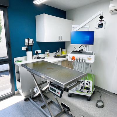 All-in-One Stazione di lavoro dentale veterinaria con sensore digitale a raggi X e telecamera orale per le cliniche animali